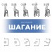 Ходунки шагающие-складные FS915L